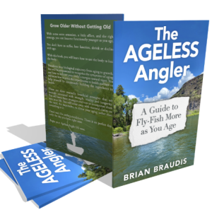 3D example of book cover