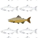 Don’t Follow the Crowd