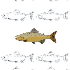 Do Not Follow the crowd Don’t Follow the Crowd