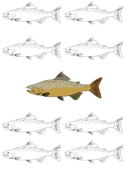 Don’t Follow the Crowd