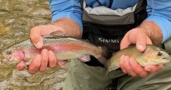 Adventures Adventures