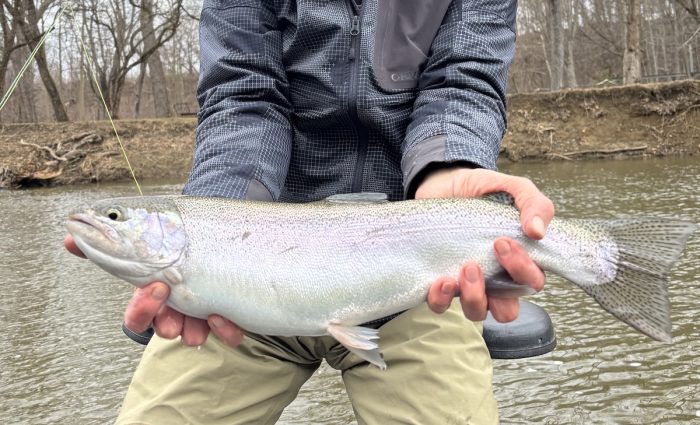 Adventures Adventures