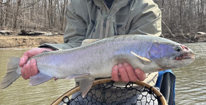 Adventures Adventures