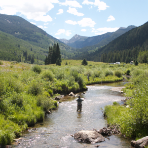 Fly fish out West Fly fish out West