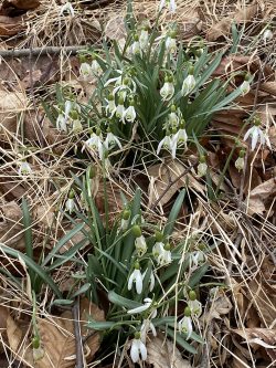 Adventures Adventures