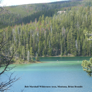 MT_Fly FIshing with descript MT_Fly FIshing with descript