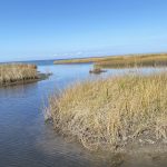 Fly-fishing for Reds in an Arctic Blast