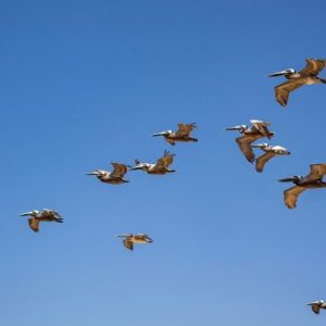 Getting Older Does Not Mean Coasting Getting Older Does Not Mean Coasting