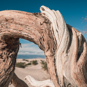 Photo by Aurora on Unsplash Web ready Photo by Aurora on Unsplash Web ready