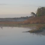 Update Your Lifestyle