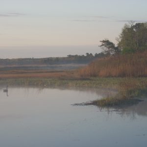 Photo_Brig Wilderness brian braudis 4_2011 Update Your Lifestyle