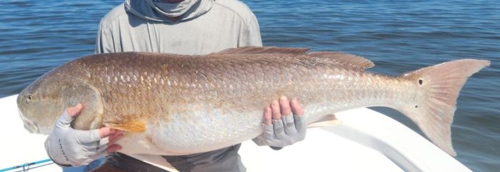 Hardcore FlyFishing Hardcore FlyFishing