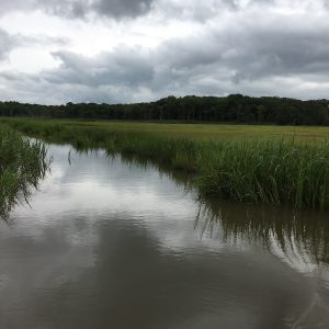 Salt Marsh Waterway Blog formatted Salt Marsh Waterway Blog formatted