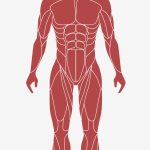 You are Responsible for Fitness