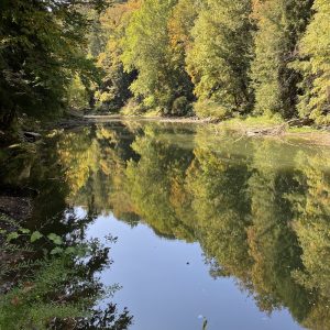 A Fly Fisher Dream A Fly Fisher Dream