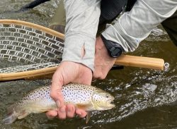 Adventures Adventures