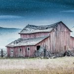 Beat Aging and Chronic Disease